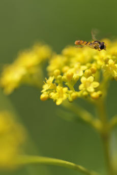 open_2011_098_s.jpg
