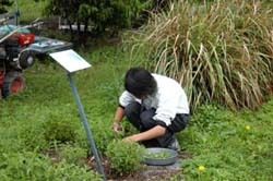 new_2008_004.jpg