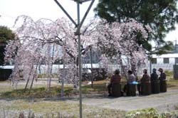 new_2008_002.jpg