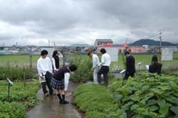 new_2008_003.jpg