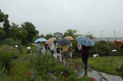 new_2007_003.jpg