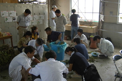new_2004_002.jpg