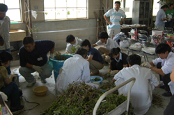 new_2004_003.jpg