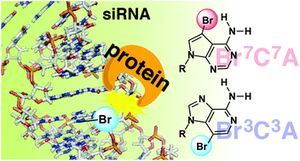 2016_org_biomol_chem_1.jpg