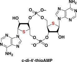 2017_Bioorg_Med_Chem_1.jpg