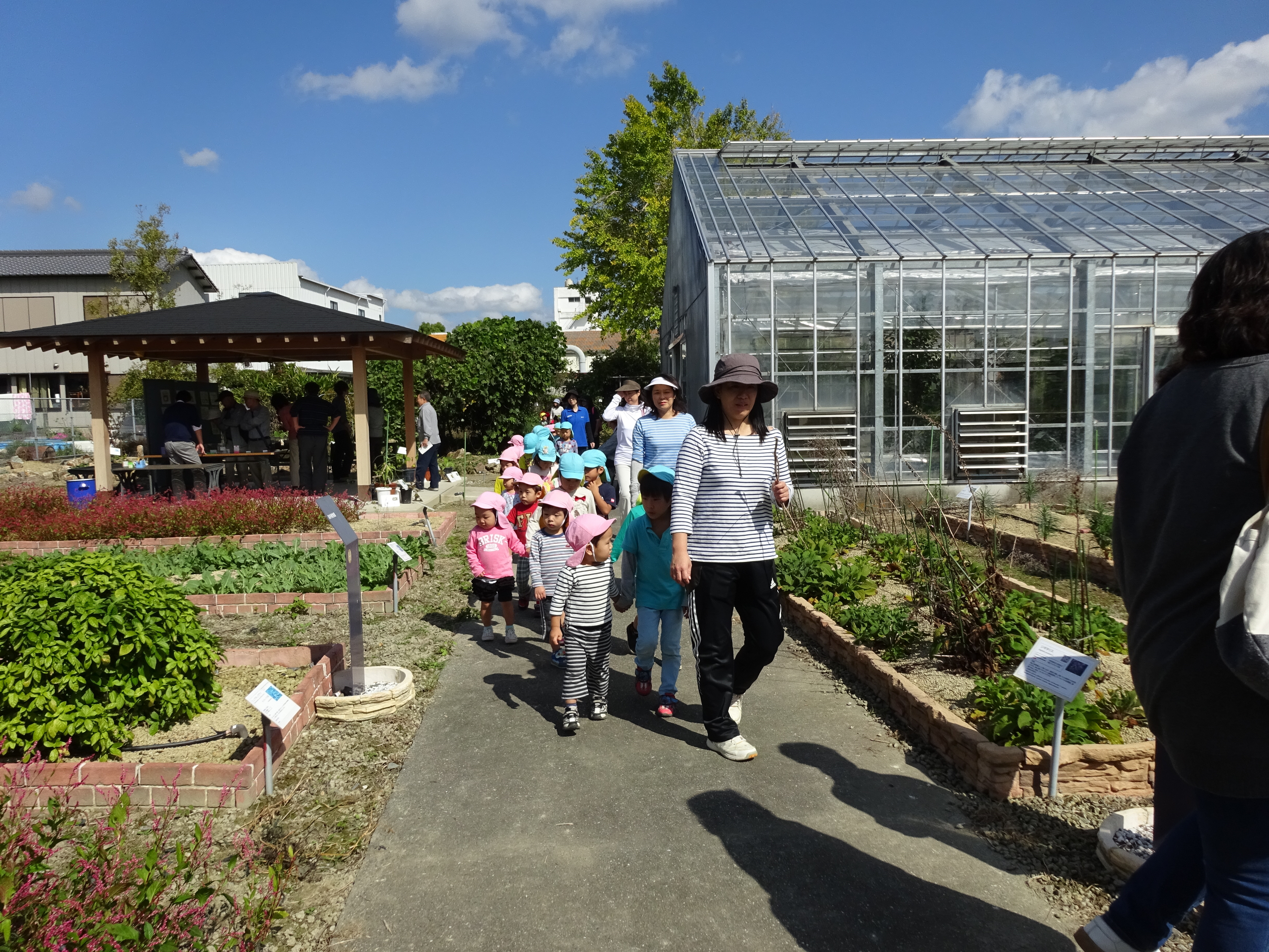 来園者で賑わう薬草園