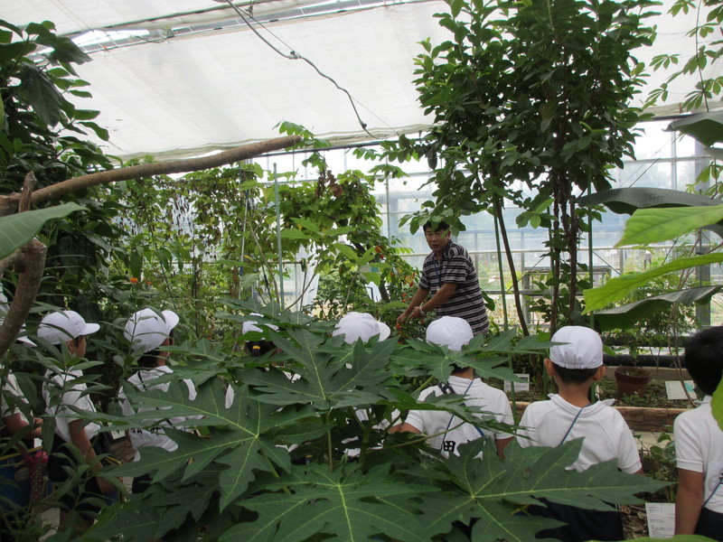 近隣の小学校からも見学にきてくれました