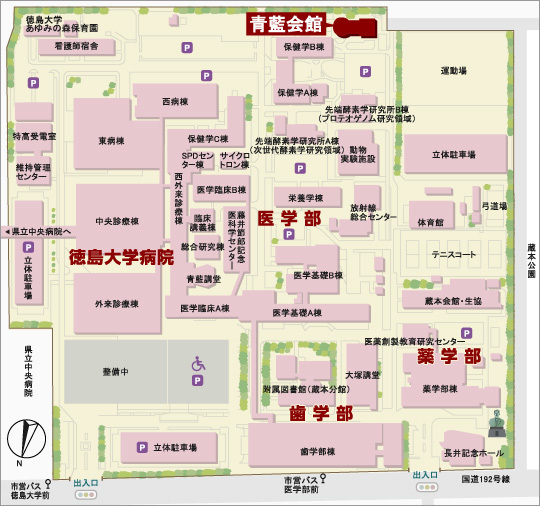 徳島大学