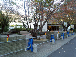 工業会館横(西側)リニューアル2012年11月工事開始