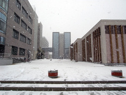 工業会館雪(2011/02/14)