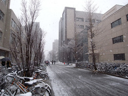 工業会館雪(2011/02/14)