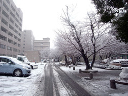 工業会館雪(2011/02/14)