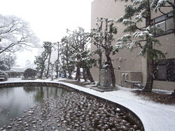 工業会館雪(2011/02/14)