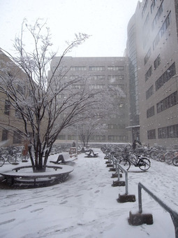 工業会館雪(2011/02/14)