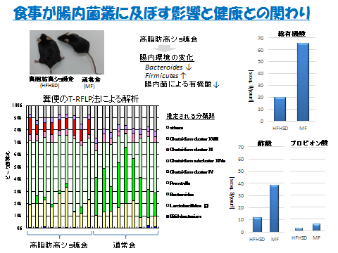 食事が腸内菌叢に及ぼす影響と健康との関わり