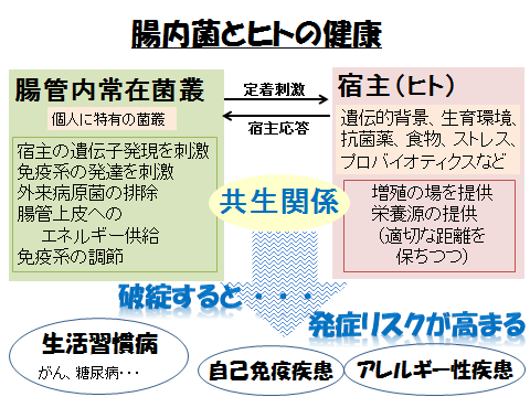 腸内菌とヒトの健康