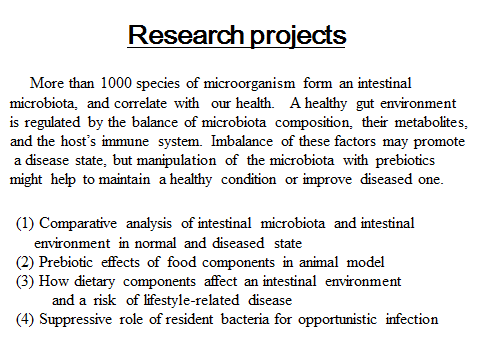 Research projects