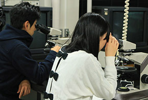 偏光顕微鏡で岩石薄片を観察する学生