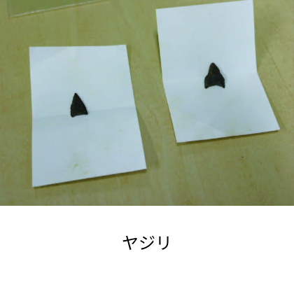 考古学talk2(1).png