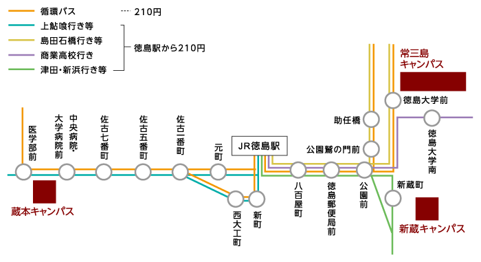 大学周辺のバス路線図