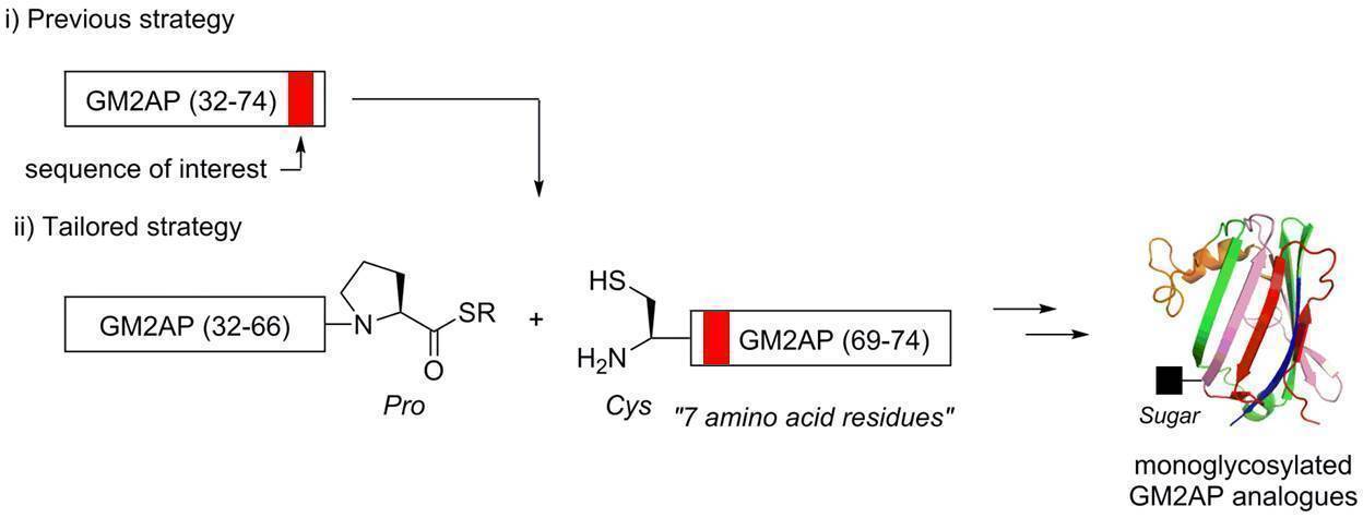 20160720nakamuraChemBioChem.jpg