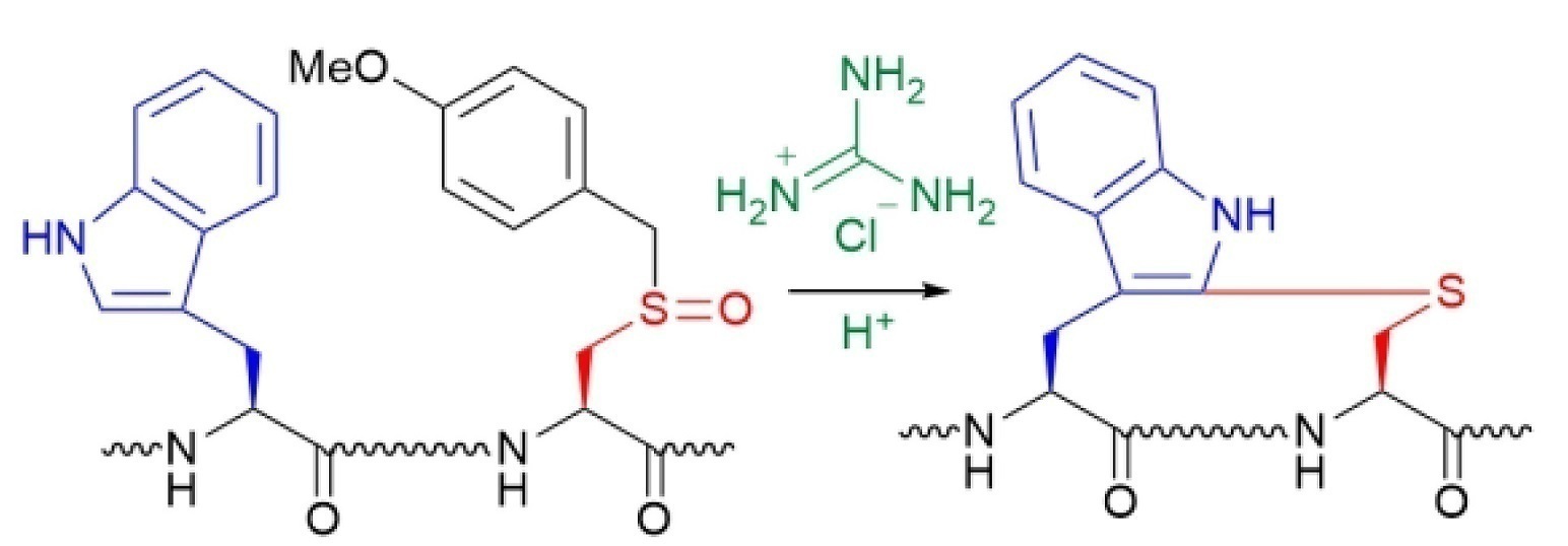 2021Kobayashi chem.eur .jpg