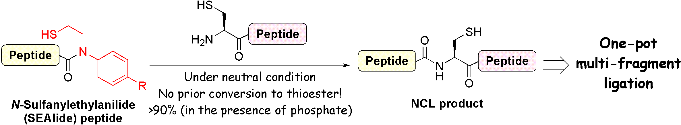 ChemBioChem_2011.GIF