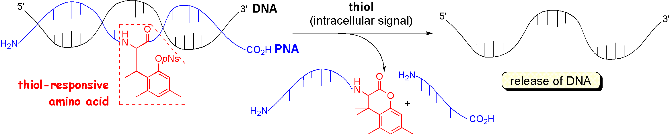 TetrahedronLett_2010_thiol.GIF