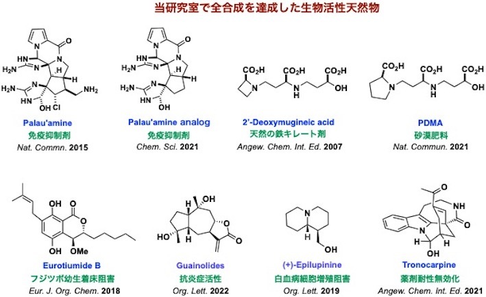 全合成.jpg