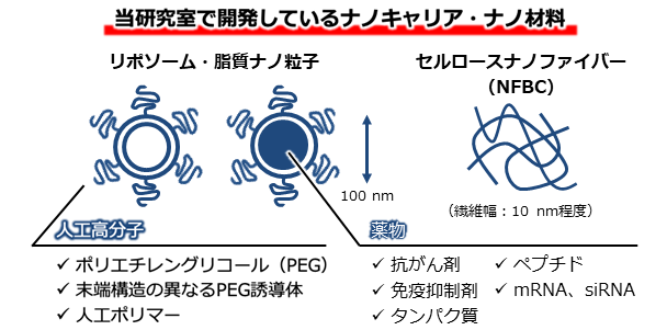 当研究室で開発しているナノキャリア・ナノ材料