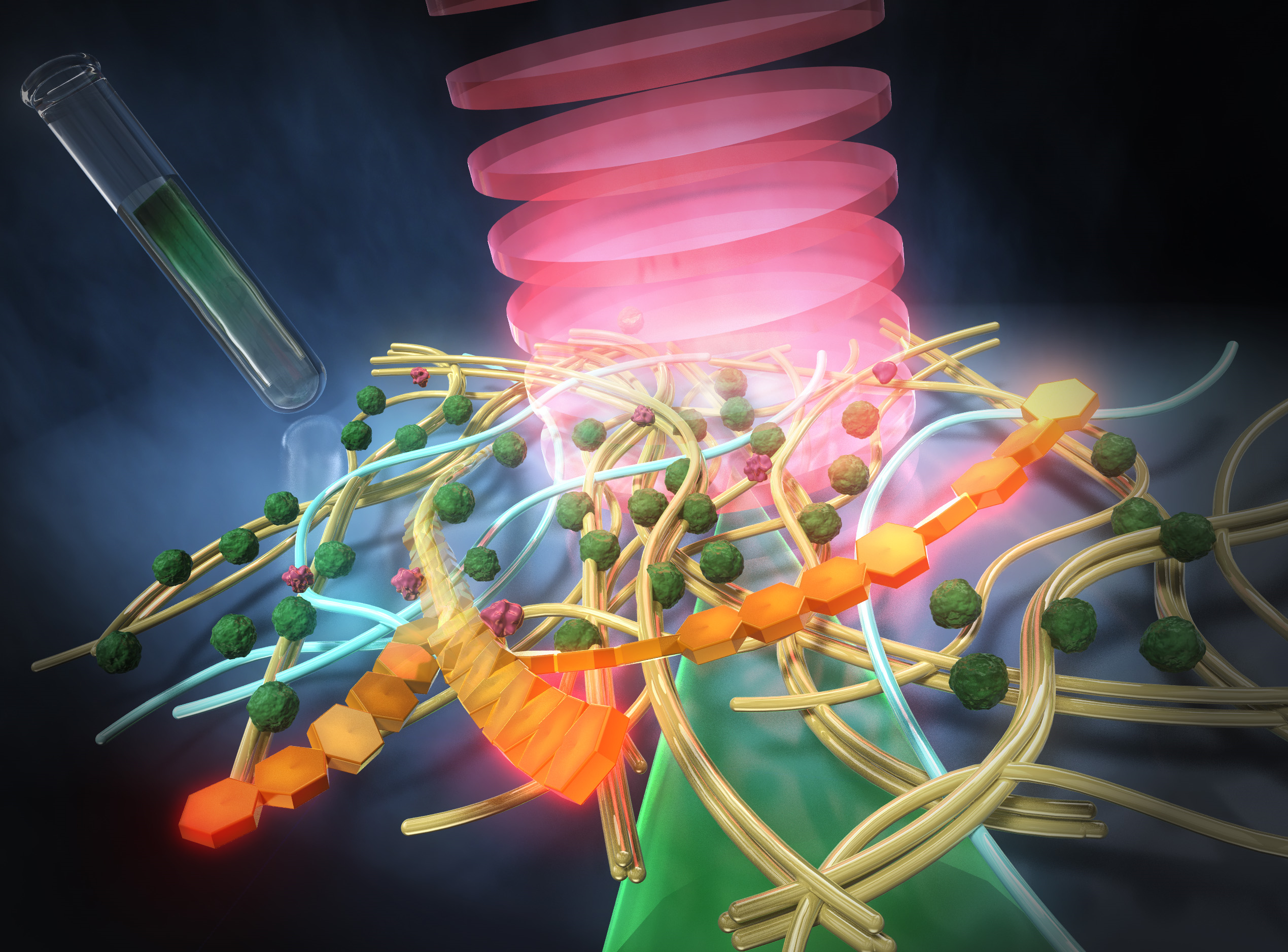 プレスリリース】光合成微生物が形成するバイオフィルムの成分の非標識