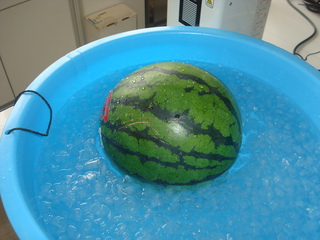 DSC02308.JPG