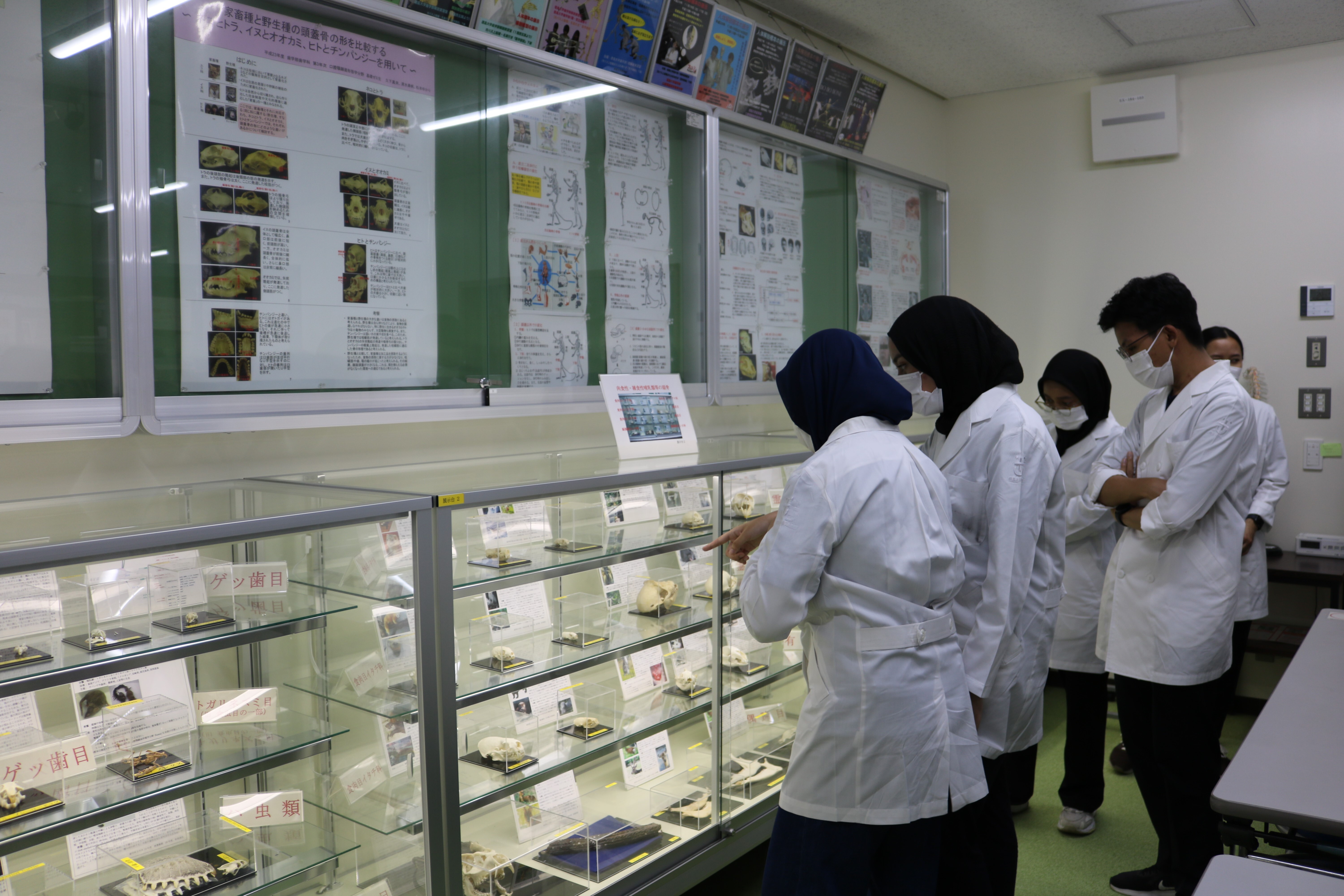 ミュージアム見学.jpg