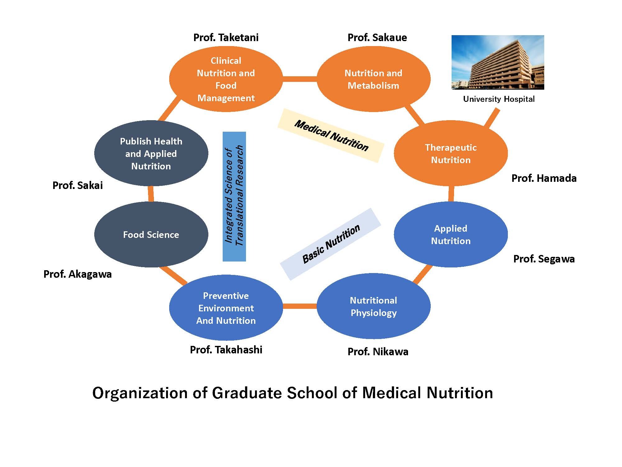 Organaization_of_Medical_Nutrition.jpg