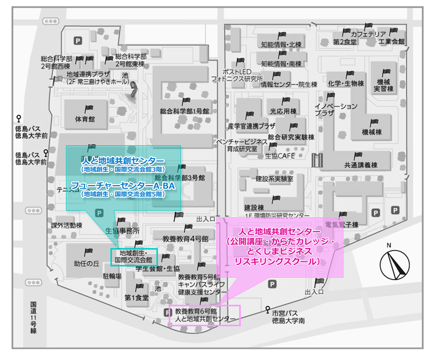 ccell_access02.PNG