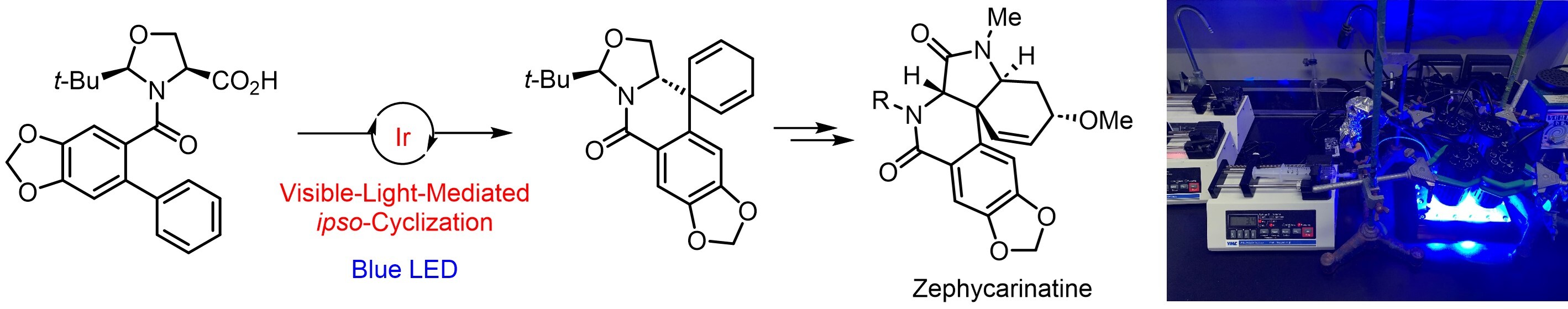 研究ハイライト(3).jpg