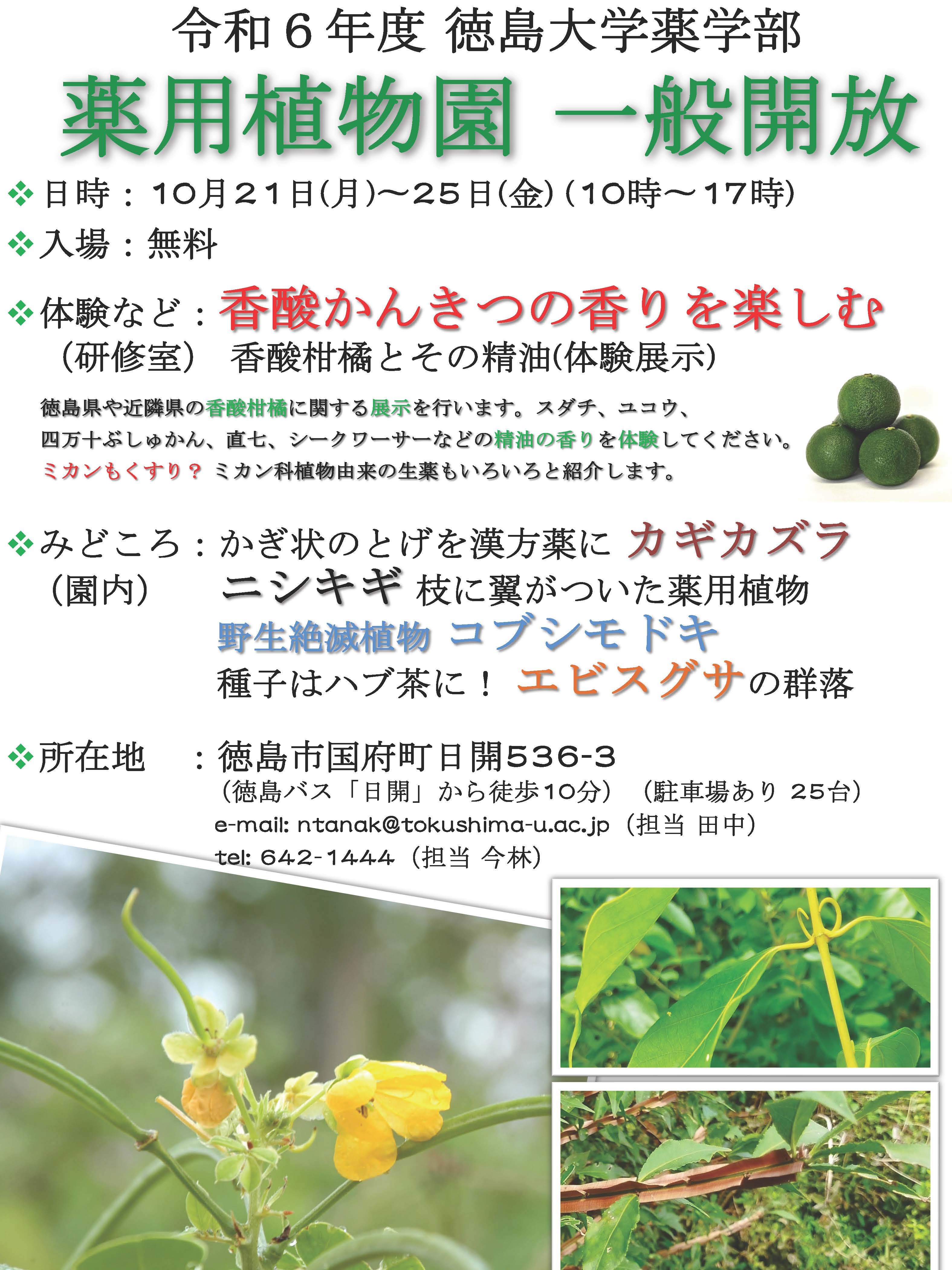 R6薬草園解放ポスター.jpg
