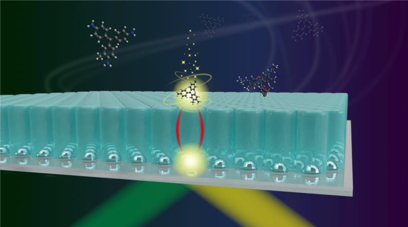 PLASMONthumbnail.jpg