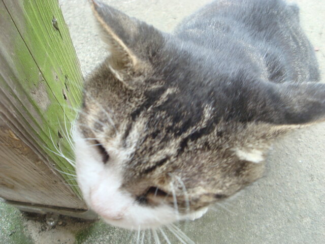 DSC02341.JPG
