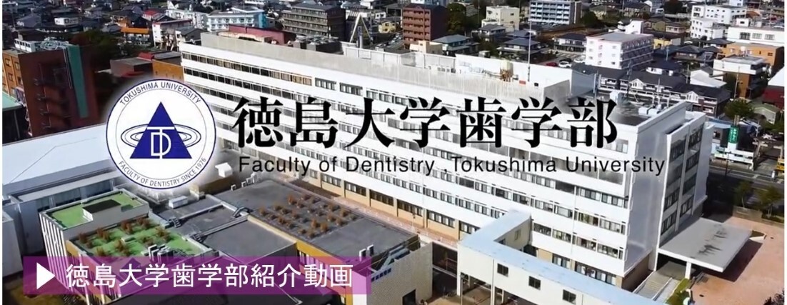 歯学部youtube