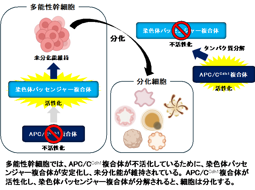 R70221_news.png