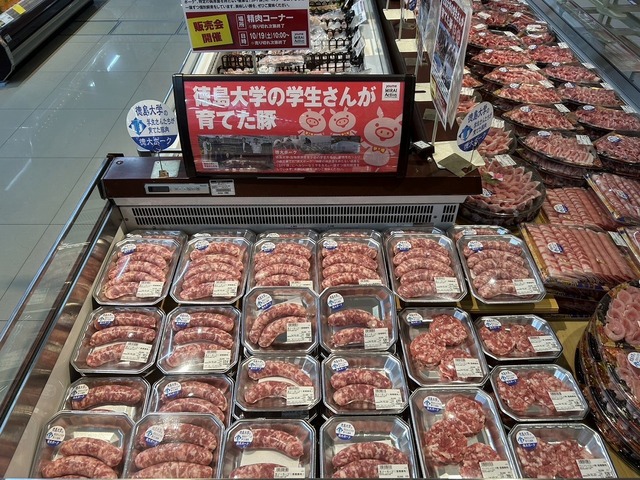 pork03.jpg