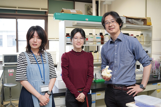 超好熱菌のRNA関連酵素の構造から機能を分析し、生命の起源に迫る！