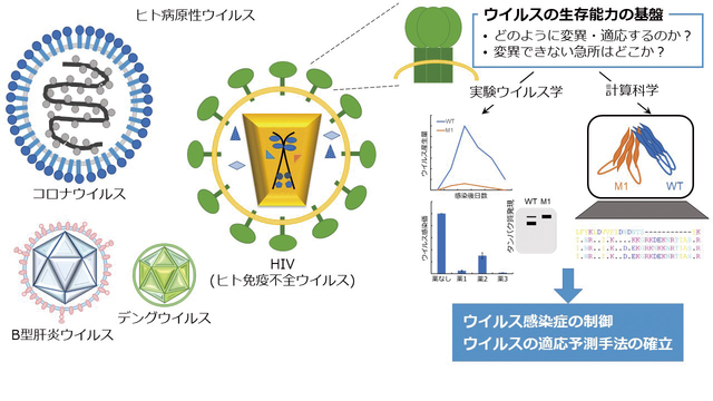 nomaguchi01.jpg