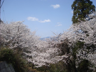 DSC02414.JPG
