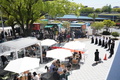 photo3.JPG
