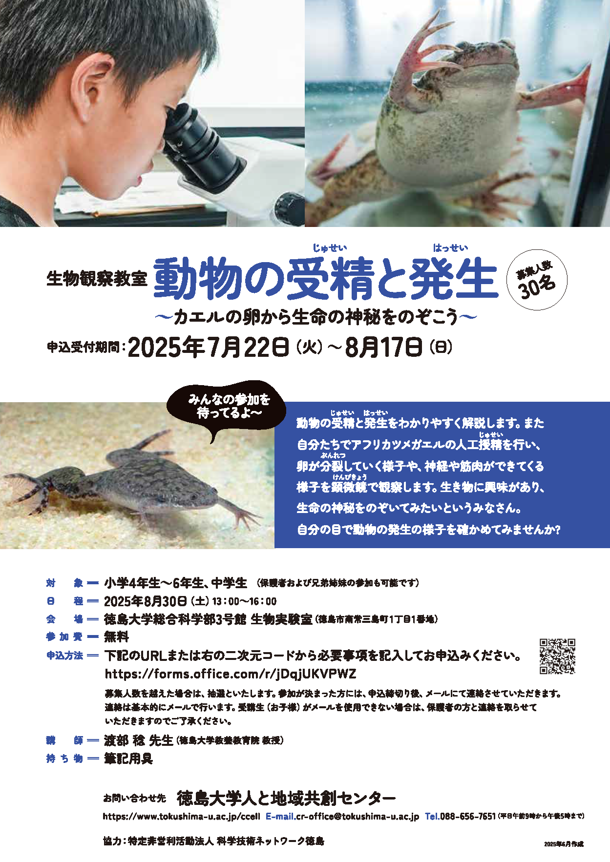 生物観察教室「動物の受精と発生」チラシ