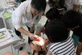 Taking on the challenge of treating cavities using filling materials