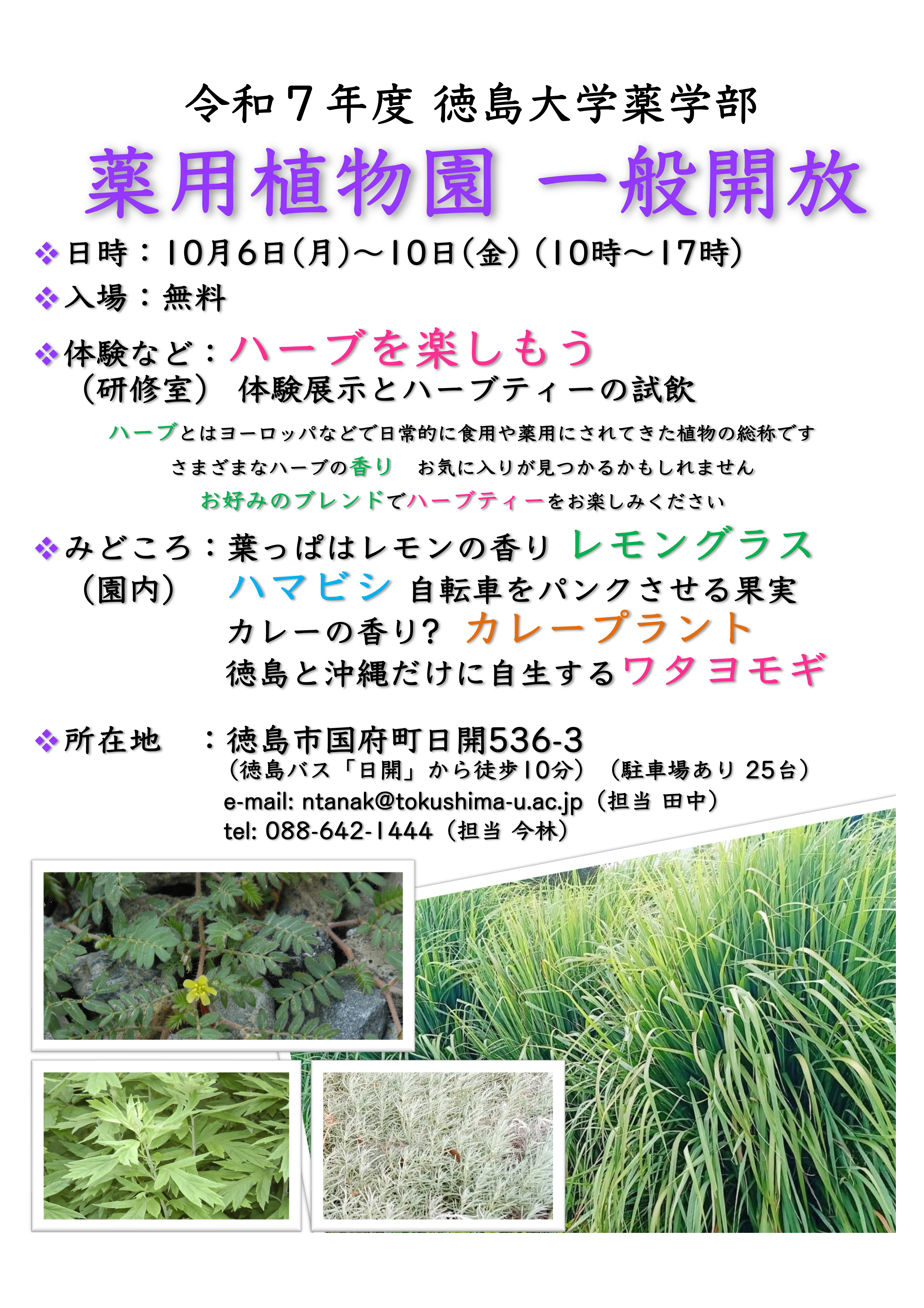令和7年度徳島大学薬学部薬用植物園一般開放歩スター