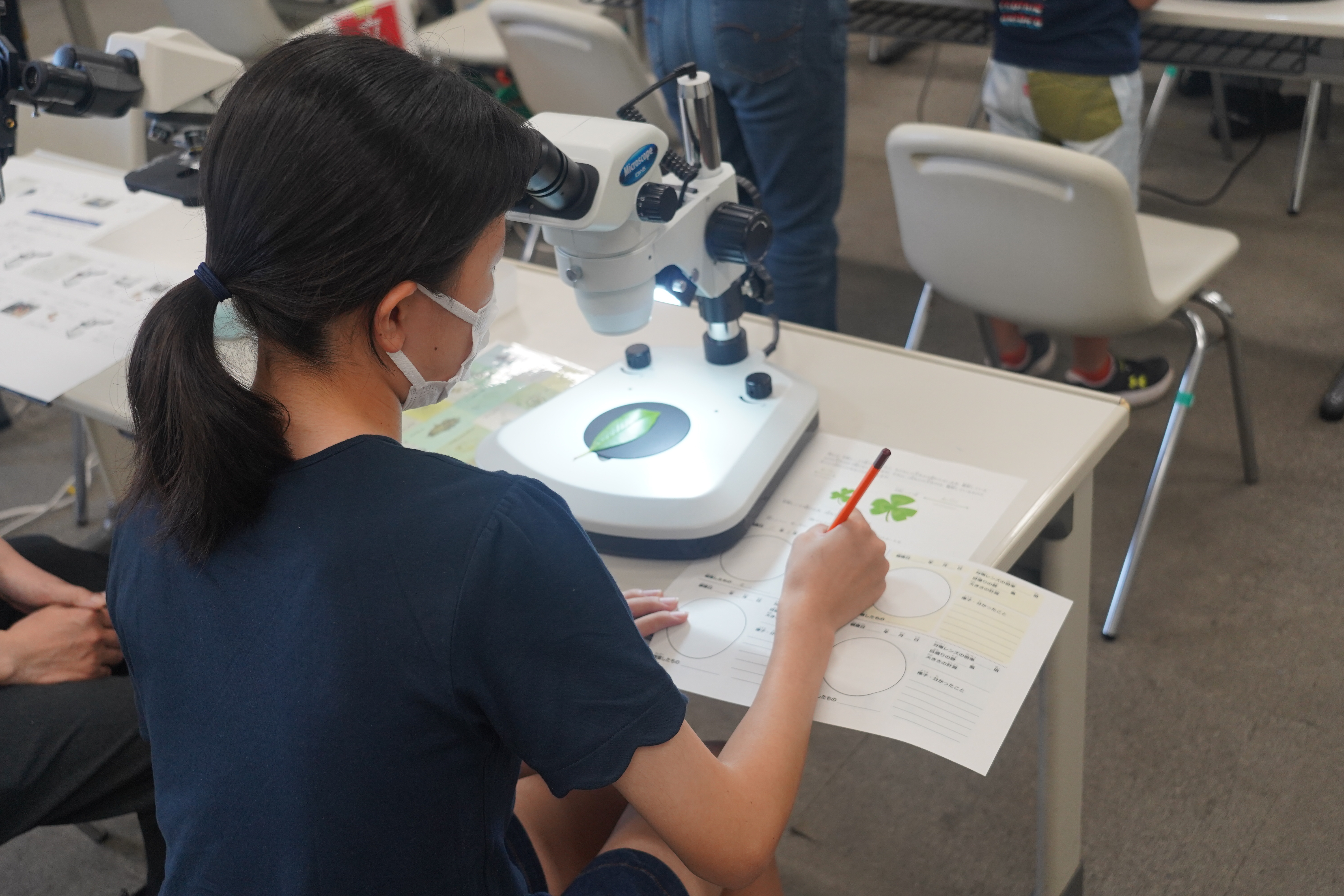 Let's measure! What's the size of a micrometer?